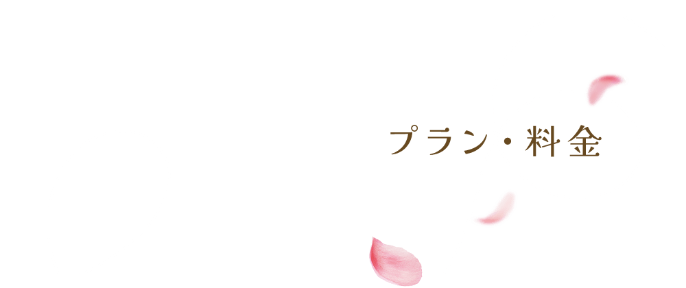 bnrhalf_plan